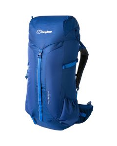 dark green/dark green